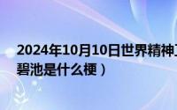 2024年10月10日世界精神卫生日主题（2024年10月09日碧池是什么梗）